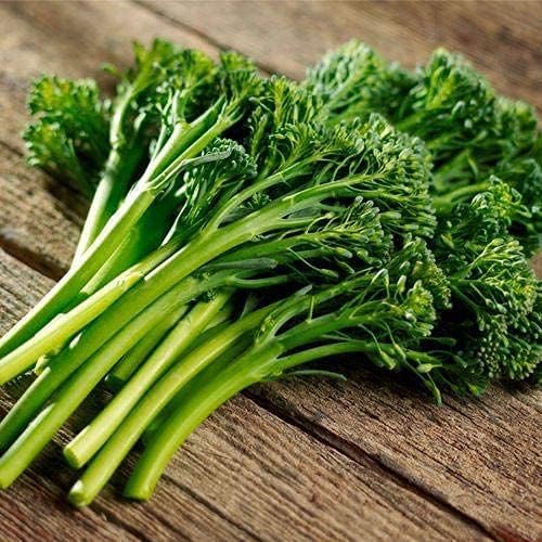 Park Seed Aspabroc Hybrid Broccoli Seeds, 2 Packs of 20 Seeds - Image 2