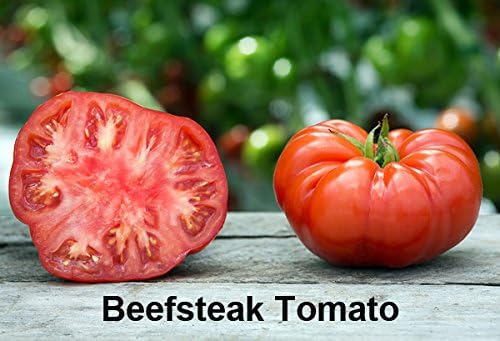 Mixed Seeds 30 Giant Tomato Seeds Mix of 19 Varieties Heirloom Non-GMO - Image 6