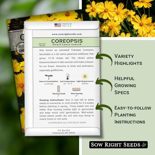 Sow Right Seeds - Dwarf Lance-Leaved Coreopsis Seed for Planting Perennial - Image 2