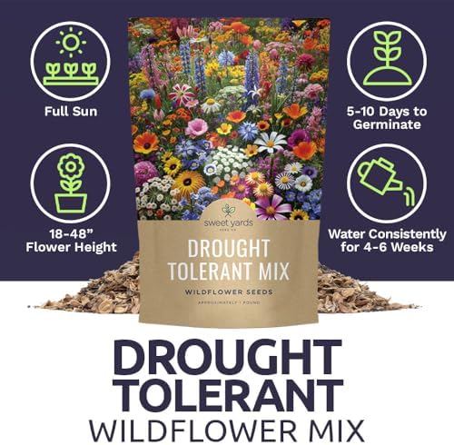 Drought Tolerant Wildflowers Mix – Bulk 1 Pound Bag – Over 120,000 Open Pollinated Non-GMO Seeds – 21 Different Dryland Species - Image 6