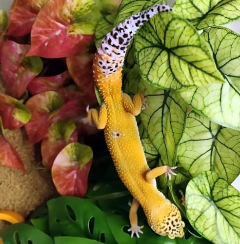 Reptile Plants for Terrarium,Habitat Decor, Hanging Plant with Suction Cup - Image 6