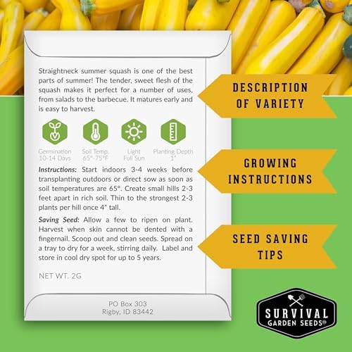 Yellow Straightneck Squash Seeds for Planting (3 Packs) - Image 2