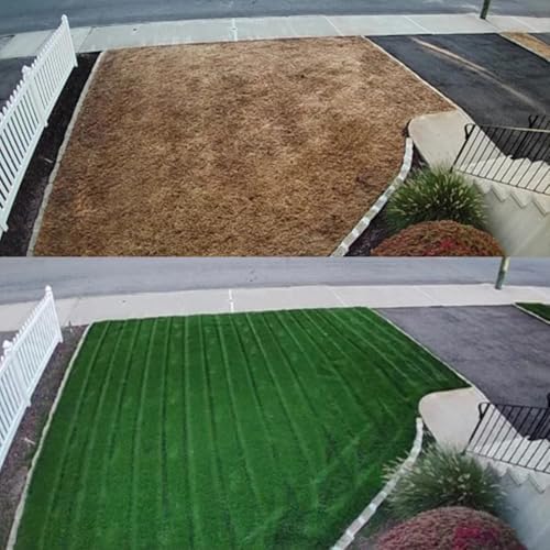 Kentucky Bluegrass & Perennial Ryegrass – 10 lbs - Image 2