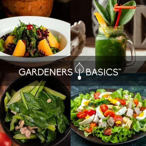 Gardeners Basics Leafy Greens Seeds for Planting, 8 Heirloom Varieties - Image 4
