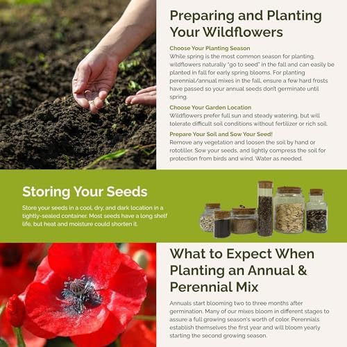 Eden Brothers Shorty Low Grow Wildflower Mixed Seeds for Planting, 25 lb, 12,000,000+ Seeds with Calendula, Cornflower | Attracts Pollinators, Plant in Spring or Fall, Zones 3, 4, 5, 6, 7, 8, 9, 10 - Image 5