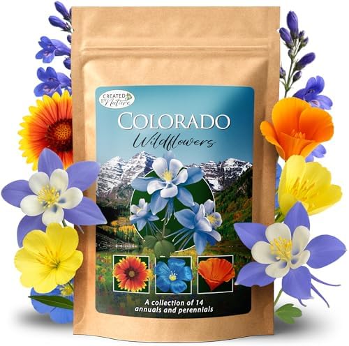 Colorado Wildflower Seed Mix – Over 53,000 Flower Seeds, Covers 300 Sq Ft by CreatedByNature