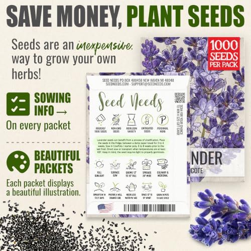 Seed Needs Blue Hidcote Lavender Seeds to Plant an Herb Garden - 2 Packs - Image 3