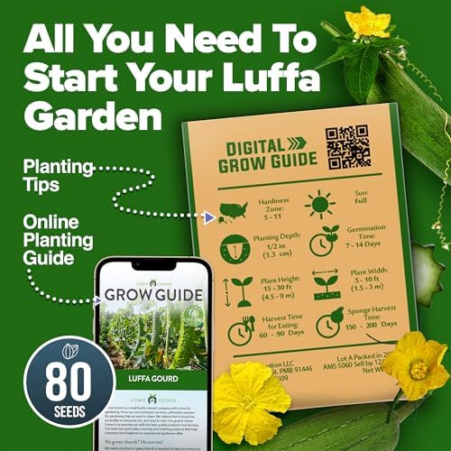 HOME GROWN Luffa Loofah Gourd Seeds, 80+ Seeds, Luffa aegyptiaca - Image 7