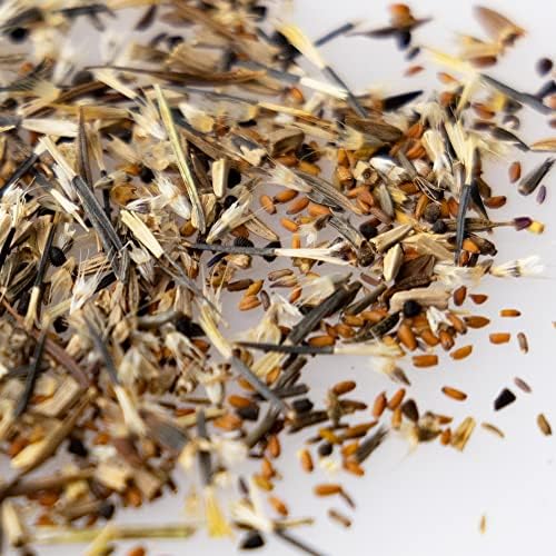 Mountain Valley Seed Co National Wildflower Seed Collection – Perennial Mix - Image 4