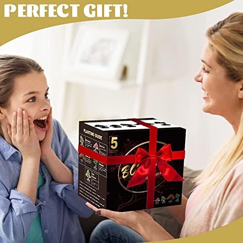 Meekear Bonsai Tree Kit with Complete Plant Growing Tools, Grow in Pot Indoor Bonsai Tree Starter Kit, Home Gardening DIY Gift for Adult - Image 7