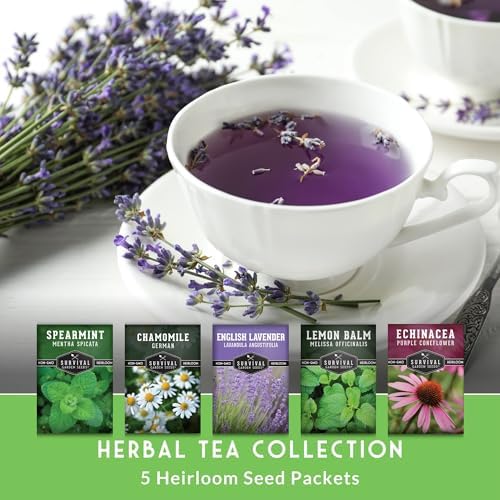 Herbal Tea Garden Seeds Kit - 5 Medicinal Herbs for Planting - Image 2