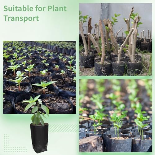 OMISTAR 100 PCS Plant Nursery Bags, Plastic Seedling Pots Container for Fruit Tree Flower Plant Grow, Plant Nursery Bags for Gardening Transplant - Image 5