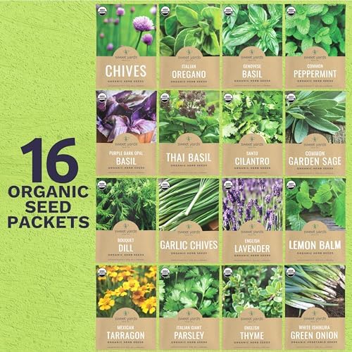 Organic Herb Seeds Variety Pack - 16 Individual Packs - 2026 Season - Basil, Cilantro, Dill, Thyme, Parsley and More! for Indoor & Outdoor Planting (Non-GMO, Certified Organic) - Image 2