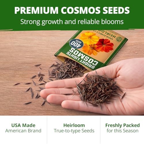 HOME GROWN Bright Lights Cosmos Mix Seeds, 800 Seeds, Cosmos sulphureus - Image 7