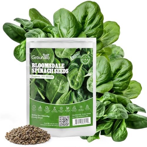 Groundio 350+ Bloomsdale Spinach Seeds, Heirloom Non-GMO, Slow Bolt Cold Hardy Leafy Greens for Home Garden Backyard Planting (Spinacia oleracea) by Groundio