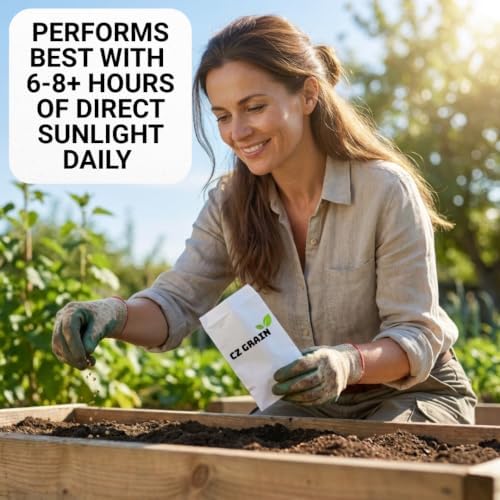 White Eggplant Seeds for Planting | 100 Seeds | White Garden Vegetable - Image 5