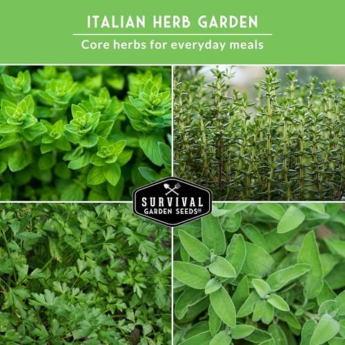 Italian Garden Herb Seeds for Planting, 5 Variety Pack - Image 4