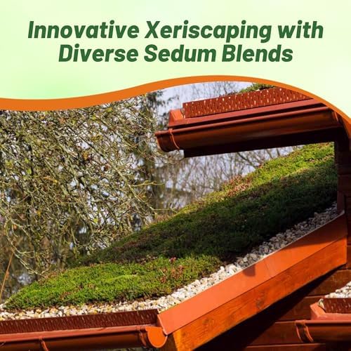 Outsidepride Roof Garden Sedum Seeds - 5000 Pcs Perennial Ground Cover Seeds for Planting, Cold-Hardy & Heat-Tolerant Succulent Plants, Ideal for Rock Gardens, Containers, and Xeriscaping - Image 6