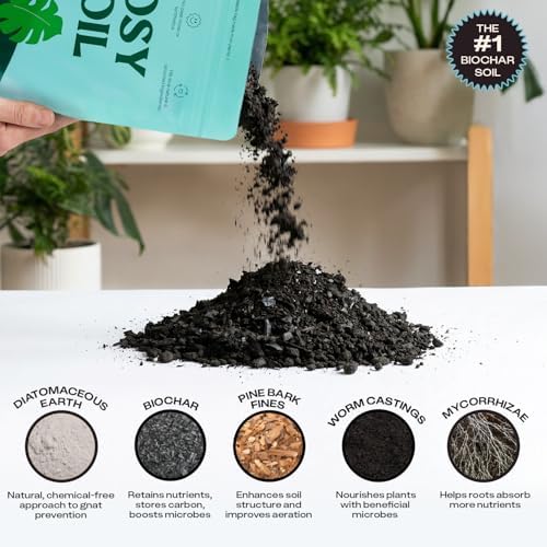 Rosy Soil Houseplant Potting Soil, 8 Quarts, Pack of 2 - Image 4