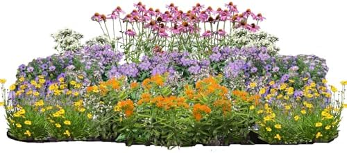 32 Live Outdoor Native Plants for Full Sun from My Home Park – Includes Aromatic Aster, Blue Mistflower, Lanceleaf Coreopsis, Mountain Mint & Purple Coneflower – Not Seeds – Easy to Grow Perennials by MyHomePark