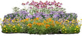32 Live Outdoor Native Plants for Full Sun from My Home Park – Includes Aromatic Aster, Blue Mistflower, Lanceleaf Coreopsis, Mountain Mint & Purple Coneflower – Not Seeds – Easy to Grow Perennials by MyHomePark