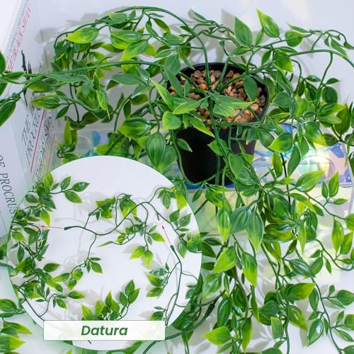 LOYWREE 3 Pack Small Artificial Hanging Mandala Plant with Pot Faux Plants Indoor Fake Small Potted Plant 28.7-In Long Faux Vine Shelf Decor Ideal for Indoor Outdoor Home Office Decoration (Black Pot) - Image 3