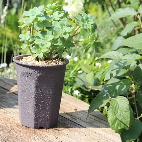 14 Pack 4.40 Inch Plastic Deep Nursery and Seedling Pots, Round Transplant Seed Starter Planter,Gray Color - Image 4