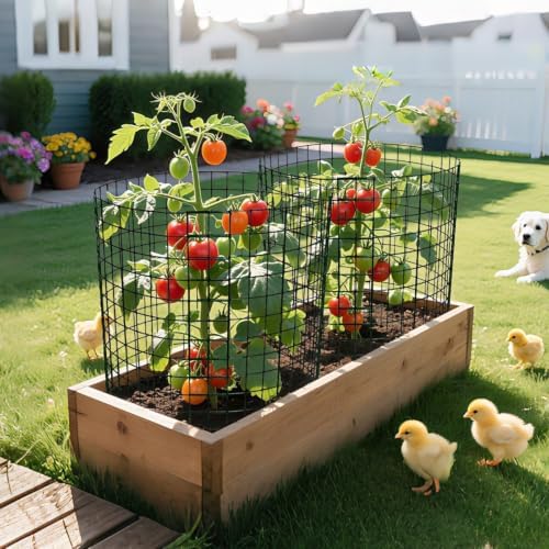 8 Pack 24x12 inch Plant Protector, Wire Garden Cages with Stakes & Ties - Image 6