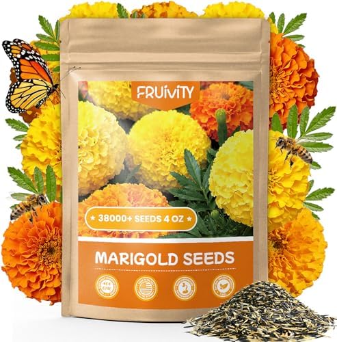 Tri-Color French Marigold Seeds for Planting – 4OZ 38,000+ Open-Pollinated Flower Seeds to Plant, High Germination Rate, Fast Blooming for Gardens, Containers & Companion Planting by Fruivity