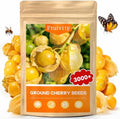 3000+ Ground Cherry Seeds for Planting, Vegetable Garden Heirloom Seeds by Fruivity