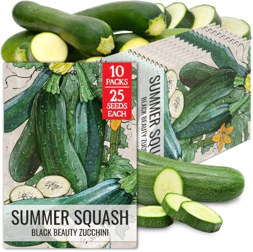 Seed Needs Black Beauty Summer Squash Seeds to Plant Vegetables - 10 Packs by SeedNeeds