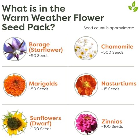 Seed Packs (Warm Flower Seed Pack) - Image 3