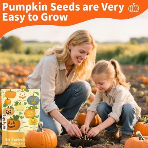 Mix Pumpkin Seeds for Planting 10 Variety, 100 Heirloom Vegetable Seeds - Image 2
