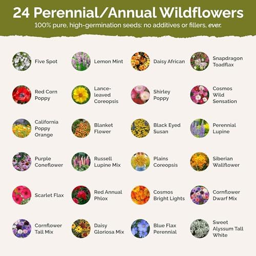 Eden Brothers Florida Wildflower Mixed Seeds for Planting, 5 lb - Image 3
