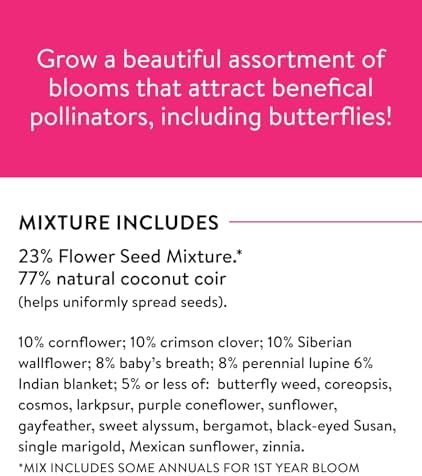 Burpee Wildflower Mix Monarch Sanctuary Seeds | 25,000 Non-GMO Seeds, 3 Types of Butterfly Weed Plus Cornflower, Lupine, Echinacea, and More | Pollinator Garden Attracts Monarch Butterflies - Image 6