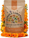 Calendula Seeds Pack 4 oz - Over 13,000 Non-GMO Heirloom Calendula Seeds for Planting Indoor & Outdoor Gardening, Flower Seed for Planting Home and Garden, Flowers Seed in Individual Packet by OrganoRepublic