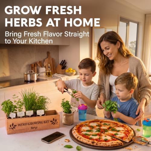 Indoor Herb Garden Kit, Herb Growing Kit for Kitchen and Windowsill - Image 2