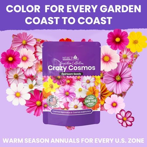 NatureZ Edge, Crazy Cosmos Seeds for 2026, 9450 Cosmos Seed, 2.25 oz, Made in USA, Annual Cut Flowers, Wildflower Seeds Bulk for Planting Flowers, Wild Flowers Seed Throw and Grow, semillas de Flores - Image 6