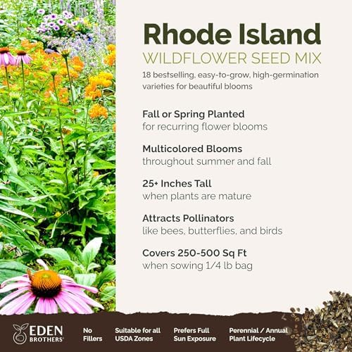 Eden Brothers Rhode Island Wildflower Mixed Seeds for Planting, 1/4 lb - Image 2