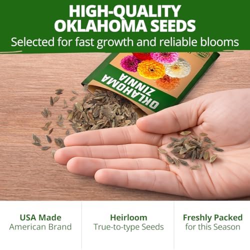 HOME GROWN Oklahoma Zinnia Seeds, 100 Seeds, Zinnia elegans - Image 7