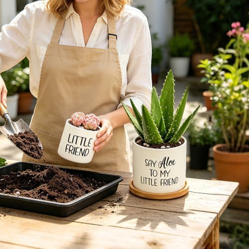 Say Aloe to My Little Friend Planter Pot Plant Lover Set with Bamboo Tray - Image 5