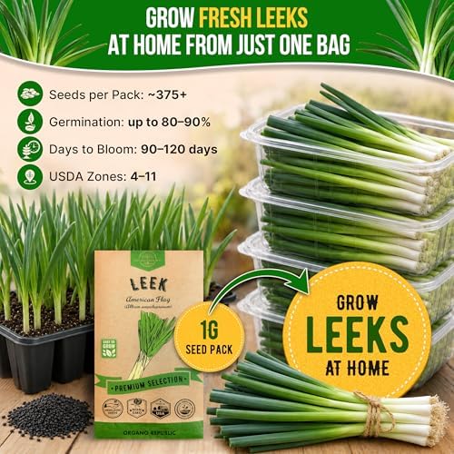 Organo Republic Onion Leek Seeds Pack 1G - Over 375 Non-GMO Heirloom Onion Seeds for Planting Vegetables in Individual Seed Packet, Vegetable Seeds for Planting Home Garden Indoor & Outdoor Gardening - Image 4