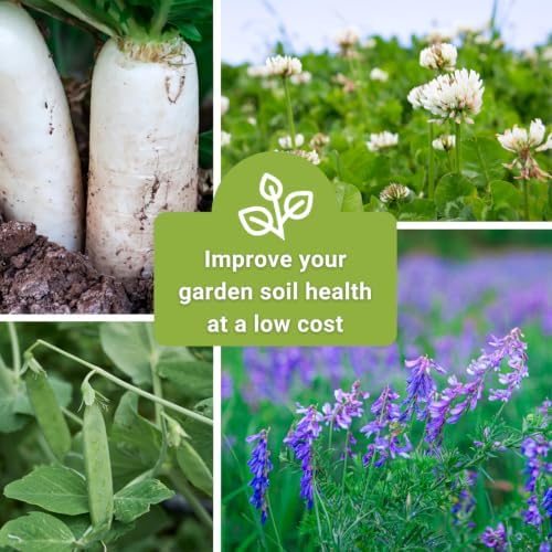 Sow Right Seeds- Cover Crop Seed Collection for Planting for Improving Soil - Image 5