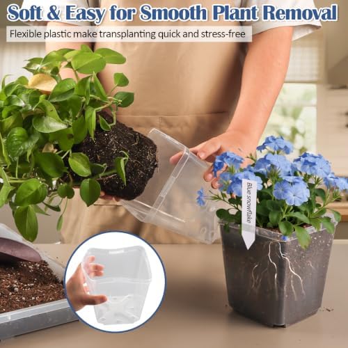 RooTrimmer 5.5 Inch Clear Square Nursery Pots with Drainage & Labels, 30Pcs Reusable Seed Starter Pots for Vegetables, Indoor Outdoor Gardening, Thick Transparent Plastic Plant Pots for Seed Starting - Image 6