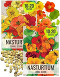 Seed Needs Nasturtium Garden Seeds Variety Pack of 2 Edible Wildflowers by SeedNeeds