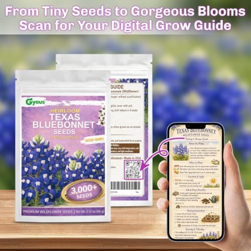 Texas Bluebonnet Seeds 3000+ to Plant - Lupinus texensis with Full Growing Guide - Iconic Annual Blue Wildflower - Drought Tolerant for Meadows & Gardens - Fall Planting for Spring Blooms - Image 6
