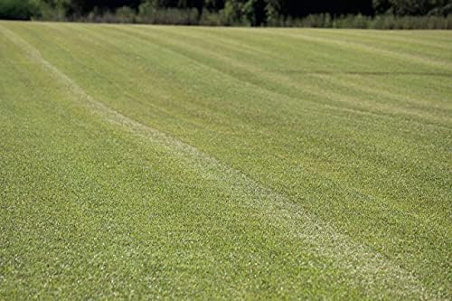 Centipede Grass Seed for a Dense Green Lawn, NO Mulch, 1 lb Coated Seeds, Sun and Moderate Shade Tolerant Lawn Seeding and Turf Patch Repair, Southern Southeast US, Low Fertilizer Low Maintenance - Image 5