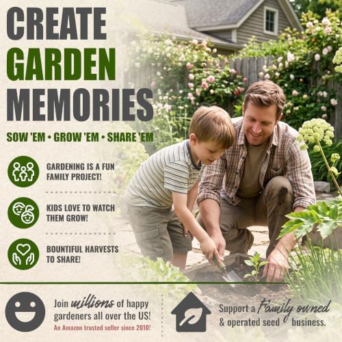 Seed Needs Angelica Seeds to Plant an Herb Garden - 2 Packs - Image 6
