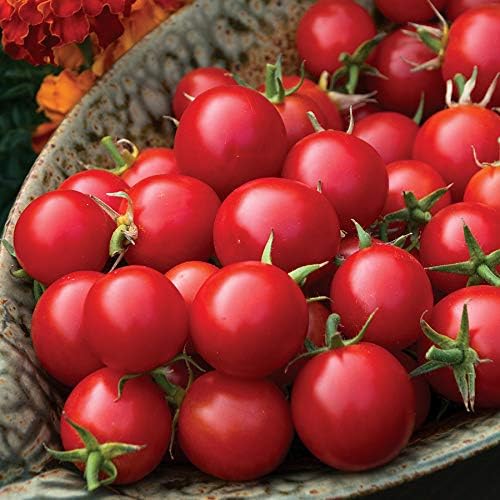 Park Seed Cherry Tomato Seeds, Planting Vegetables, Easy to Grow, Non-GMO, Variety of Colors and Sizes, Spring Garden, Organic Sakura Red, Pack of 10 by ParkSeed