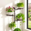 Wall Plant Holder, Rotating Floating Window Shelf 3-Tier Bronze by iDavosicly